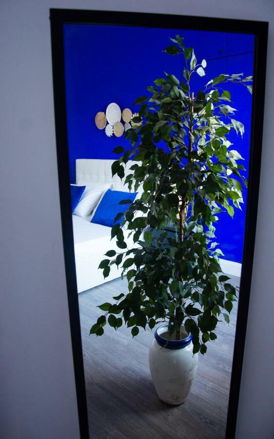 דירות פיזה Ama Casa מראה חיצוני תמונה